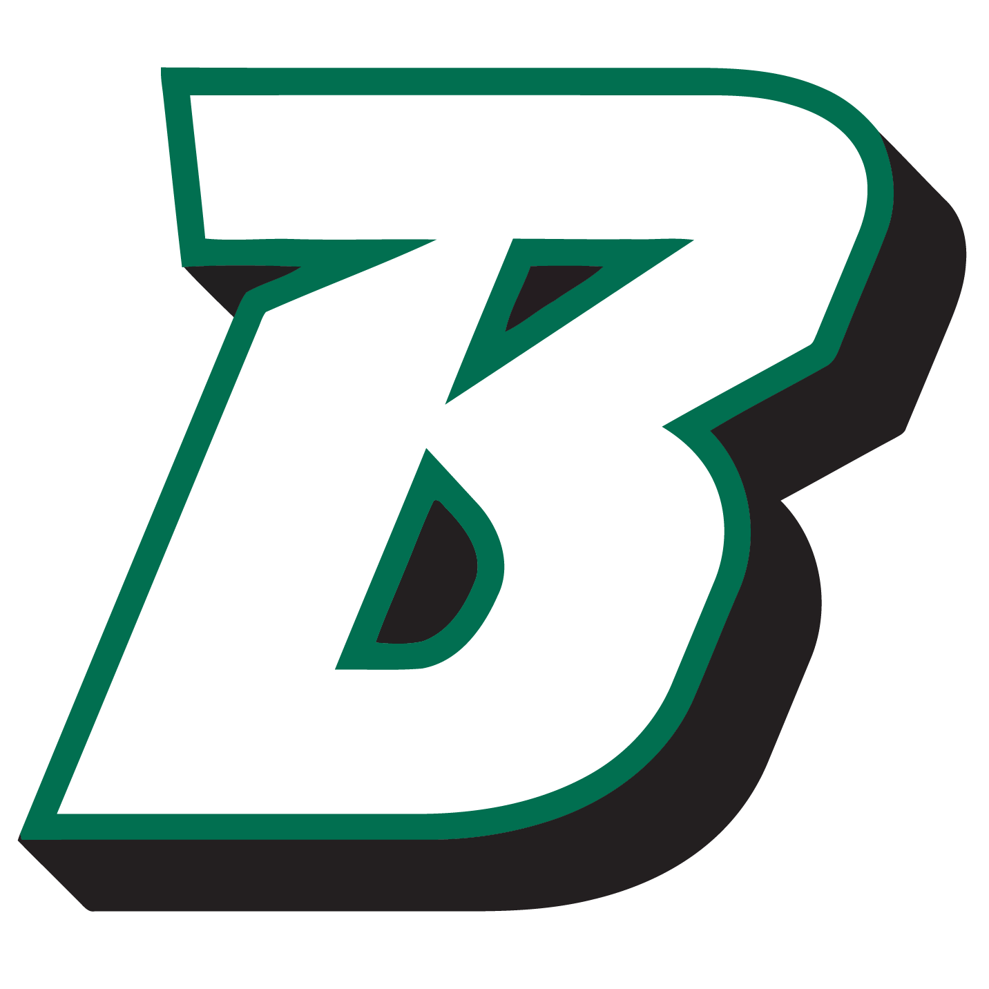 Binghamton University