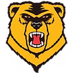 Western New England University